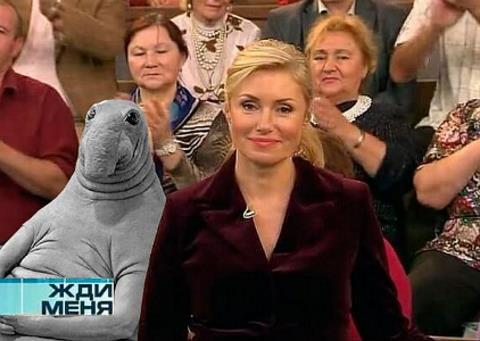 Мария Шукшина в телепрограмме "Жди меня" Мария Шукшина в телепрограмме "Жди меня"