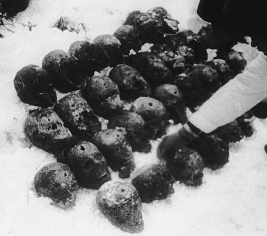 Черепа польских офицеров после эксгумации. В каждом - пулевое отверстие Черепа польских офицеров после эксгумации. В каждом - пулевое отверстие