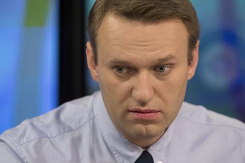 Общественный деятель Алексей Навальный Общественный деятель Алексей Навальный